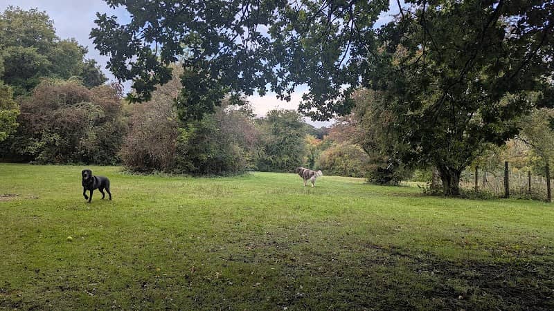 Yogis Field - Image 2