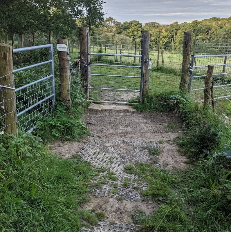 Yogis Field - Image 1