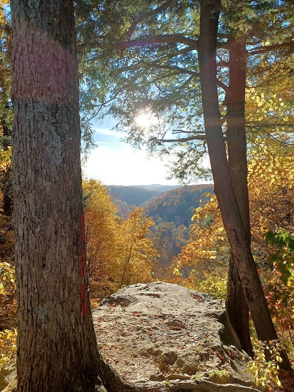Cleland Rock Scenic Vista - Image 1