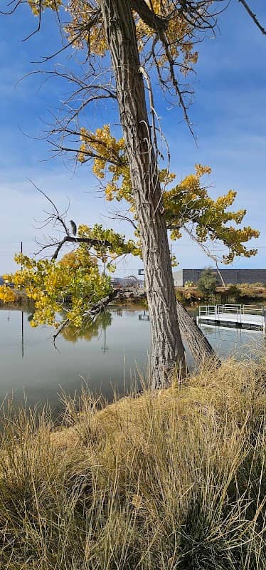 Wildlife viewing area - Image 2