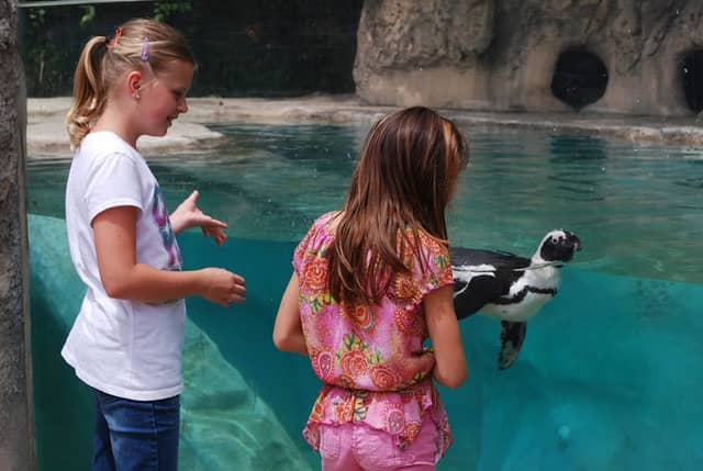 Saginaw Children's Zoo - Image 1
