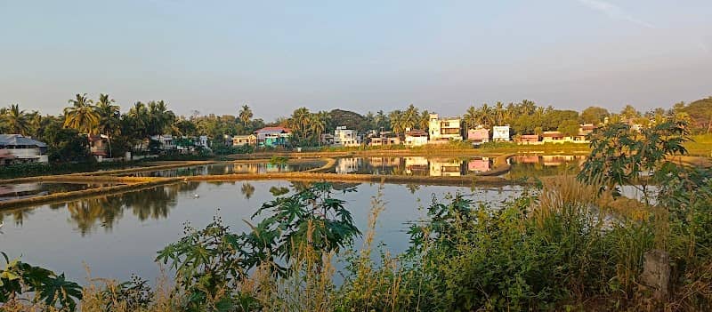 Paddy field sunset view point, Kalmadapam - Image 1