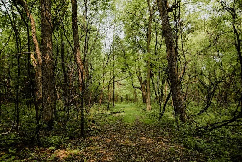 Dodge Nature Center – Shepard Farm Property - Image 2