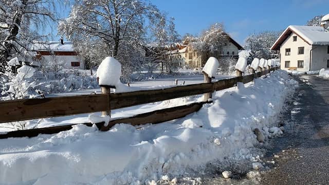 Riederinger Weiher - Image 2