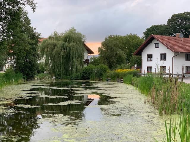 Riederinger Weiher - Image 1