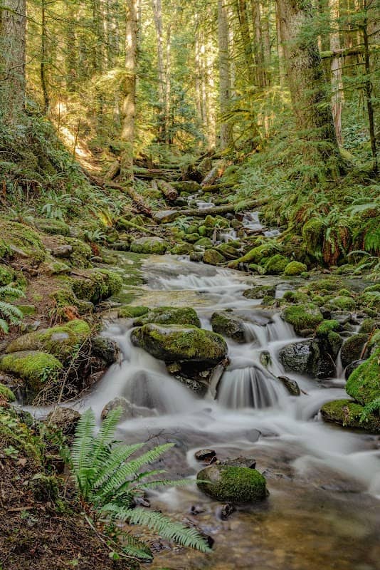 Parker Creek Falls - Image 1