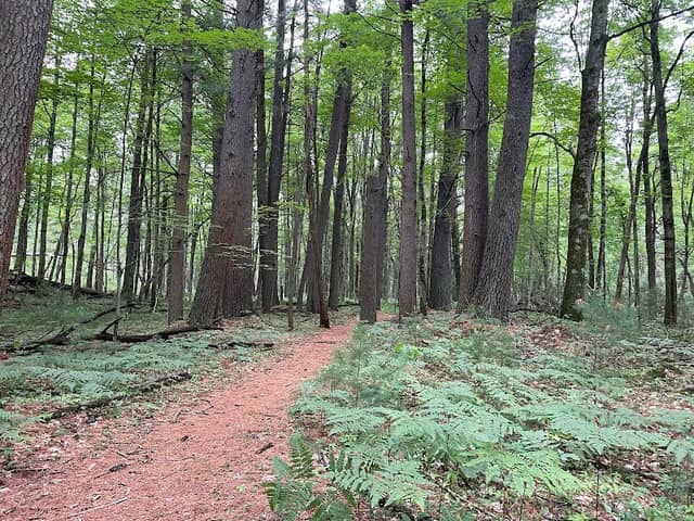 Coolbough Natural Areas - Image 2