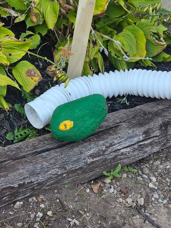 Rocco The Rock Snake - Image 2