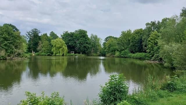 Mühlenteich - Image 1