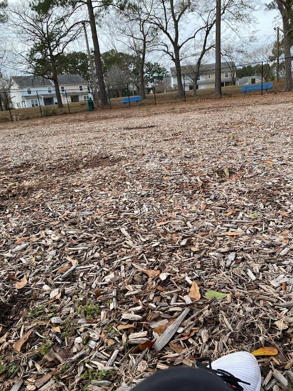 Dog park - Image 1