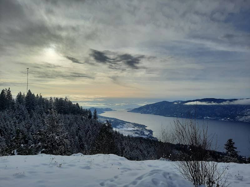 Tower lookout - Image 1