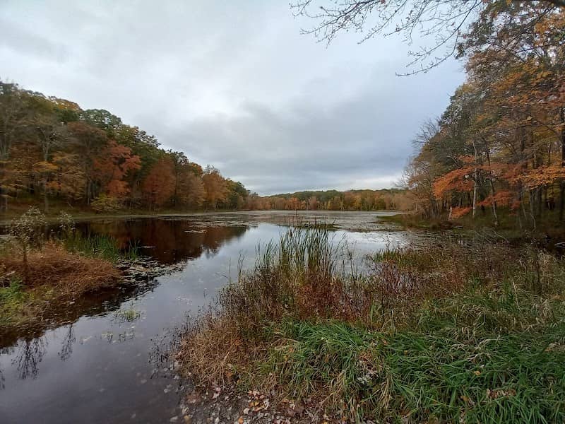 Aicher Preserve - Image 2