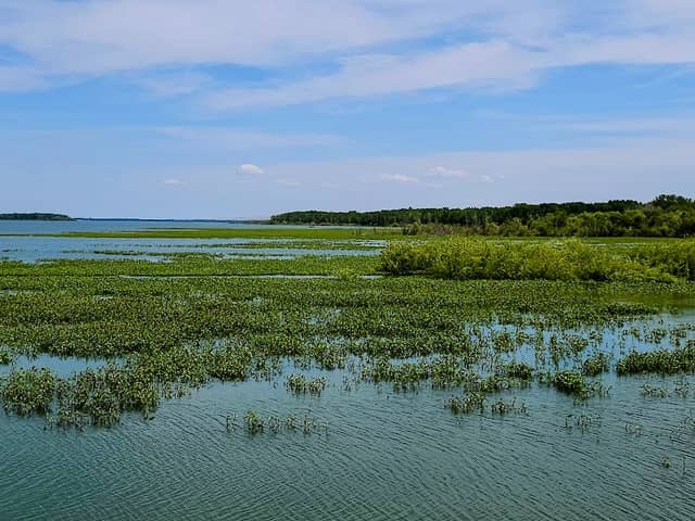 Deer Flat National Wildlife Refuge - Image 2