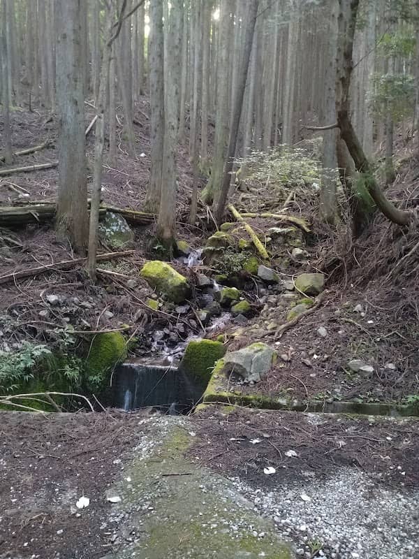 大澤名水 - Image 1