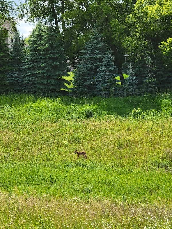 Ice Age Trail - Image 2