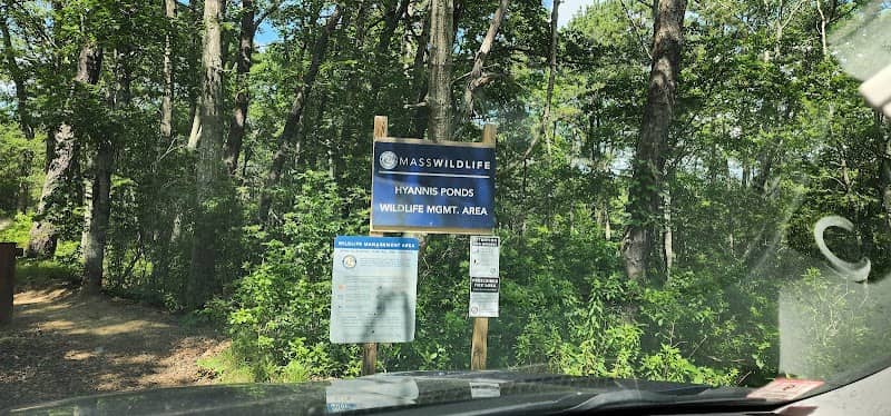 Hyannis Ponds Wildlife Management Area - Image 2