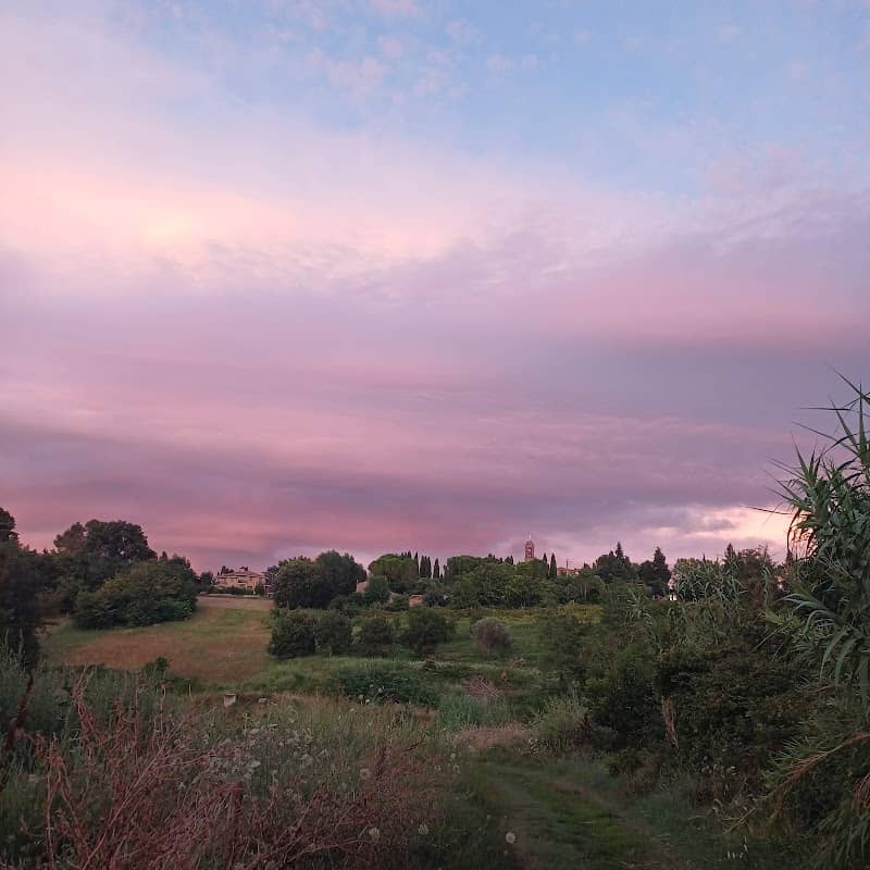 Parco Castelvecchio - Image 1