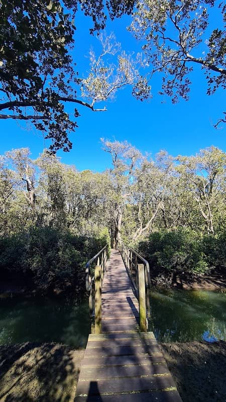 Lane Cove Mangrove Walkway - Image 2