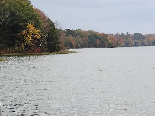 Lake Dardanelle - Image 1