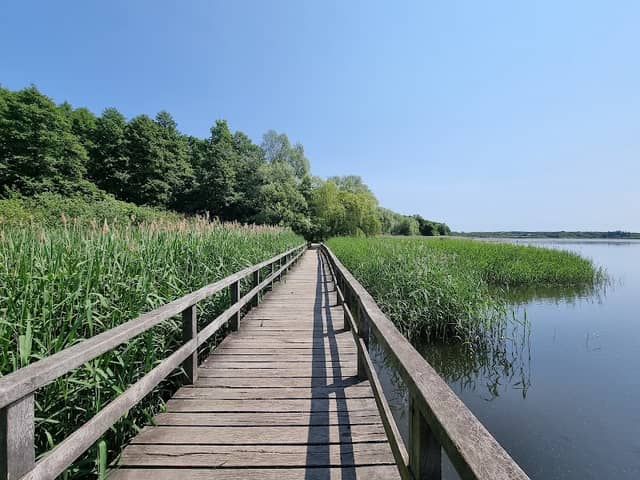 Blankensee Boardwalk - Image 1