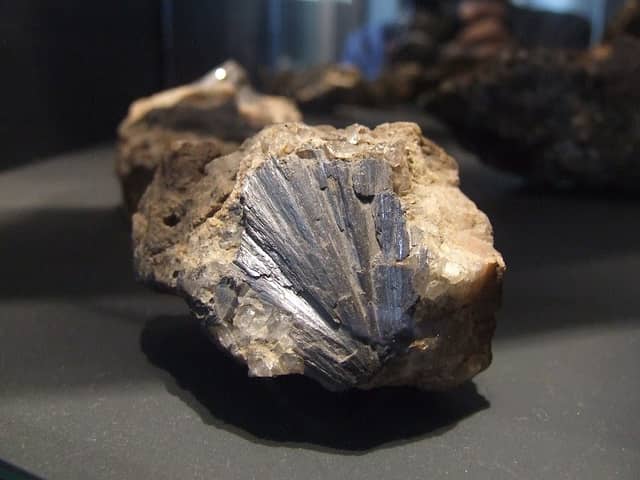 Theulegium - Image 2