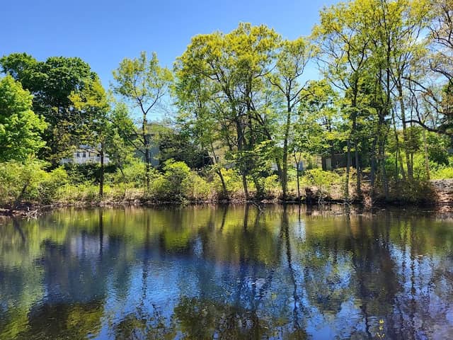 Bungay River Cove - Image 1