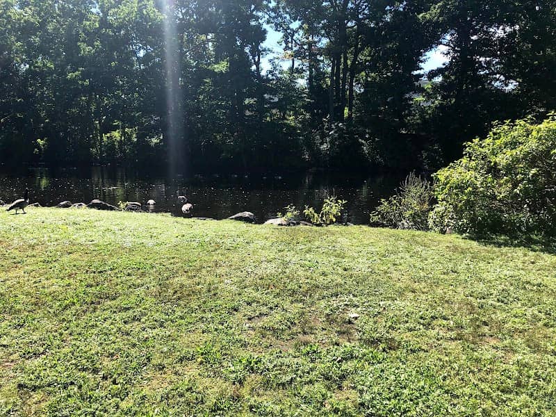 Bungay River Cove - Image 2