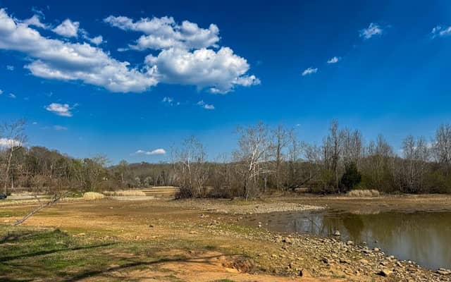 Soddy Daisy Park Bird Sanctuary - Image 3