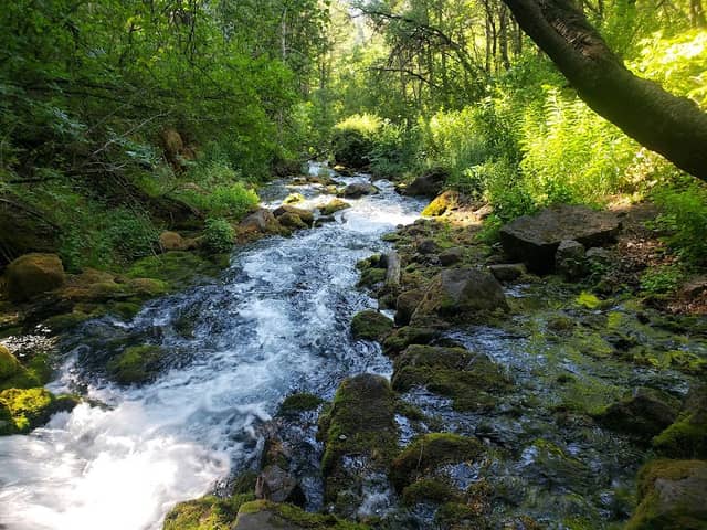 Crimson Trailhead - Image 2