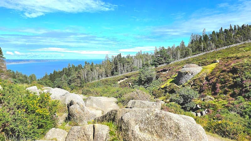 The Saddle Trail - Image 2