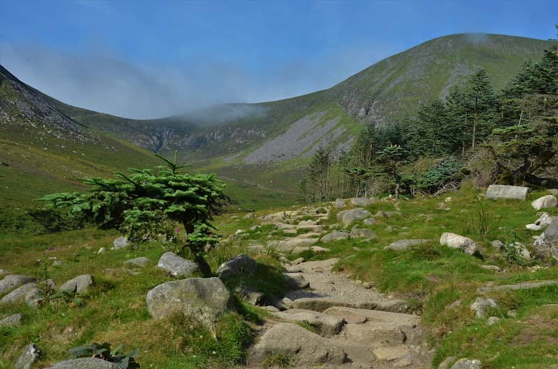 The Saddle Trail - Image 1