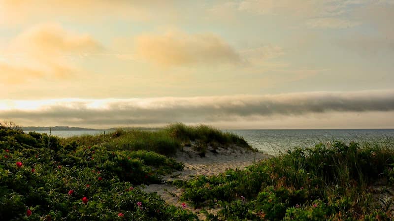 Long Beach - Image 1