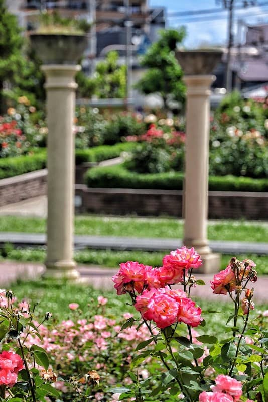 Shinonome Park - Image 2
