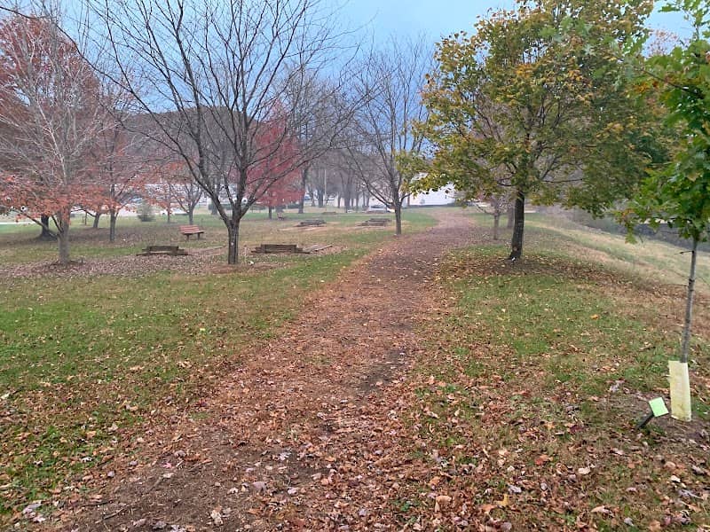 Morehead Memorial Tree Park - Image 1
