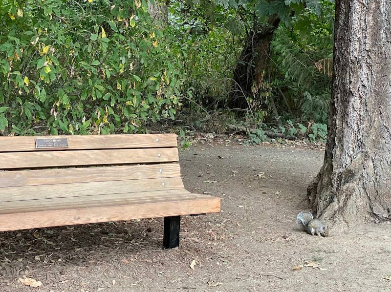 Ewan's Bench - Image 1