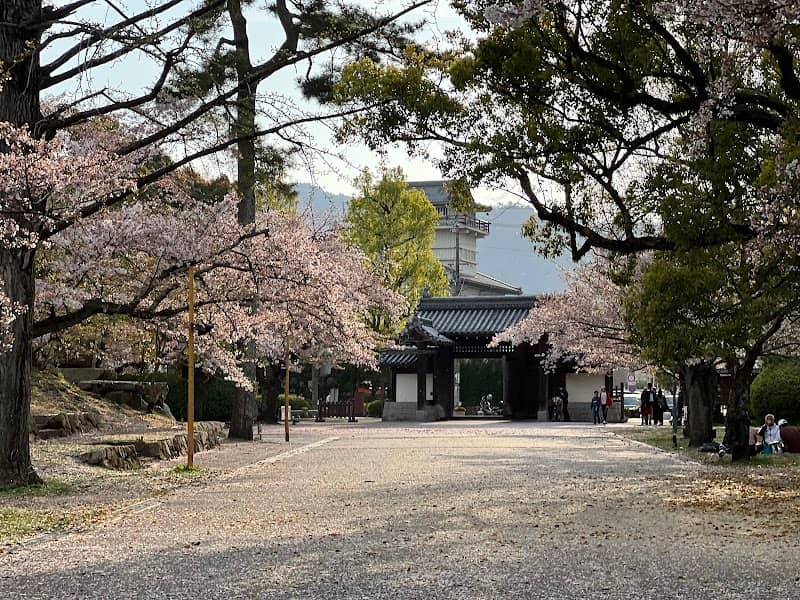 Zeze Castle Site Park - Image 2