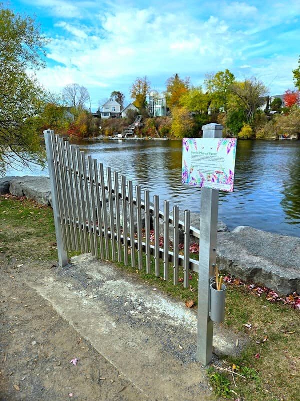 Fern's Musical Fence - Image 1