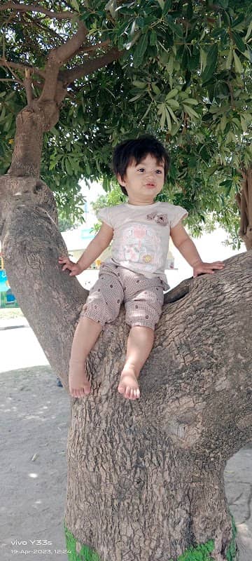 Family Park Base - Image 1