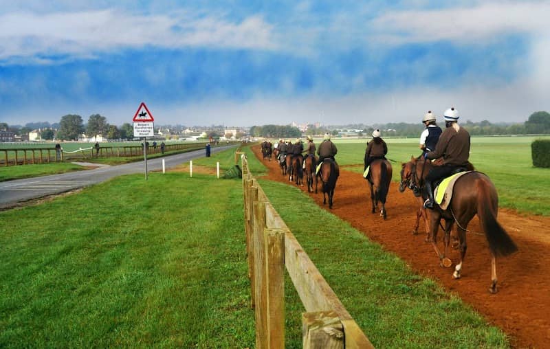 Warren Hill Gallops - Image 1