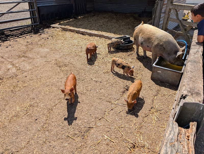 Appleby Street Farm - Image 1