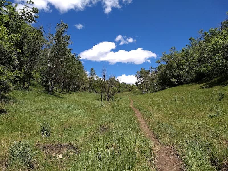 Spring Creek Canyon Trail - Image 2
