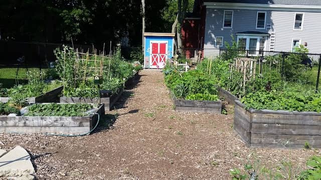 Auburn Community Gardens - Image 2