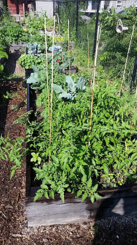 Auburn Community Gardens - Image 1