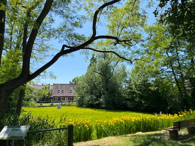 Löschweiher Tennenlohe - Image 1
