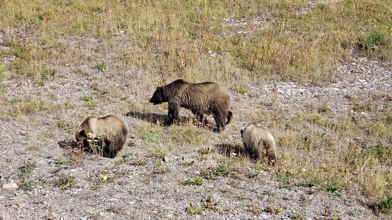 Grizzly Peak Trail Head - Image 3