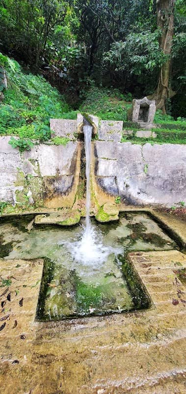 Kakinohana Spring - Image 1