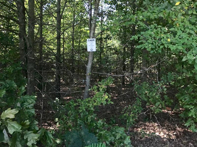 Swifton Sand Ponds Natural Area - Image 2