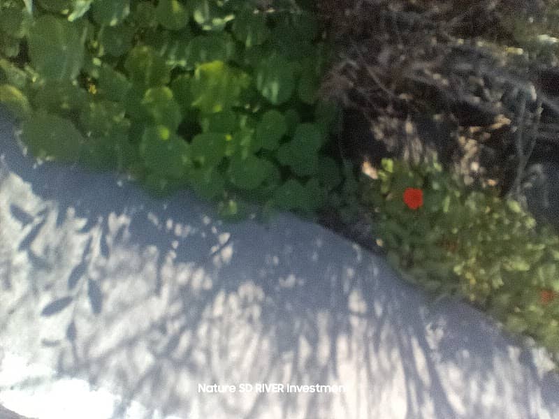 Sweetwater River Park - Image 1