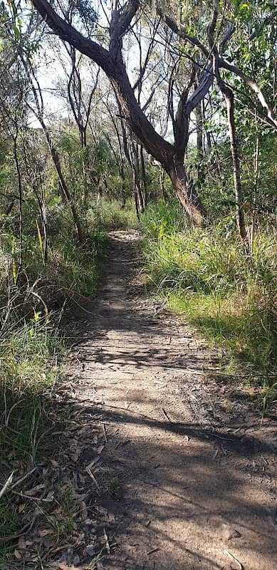 Exit to the Possum Track - Image 1