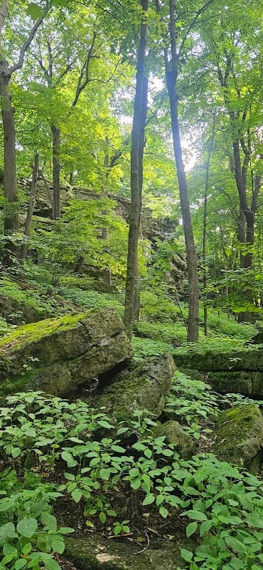 High Cliff Escarpment State Natural Area - Image 2